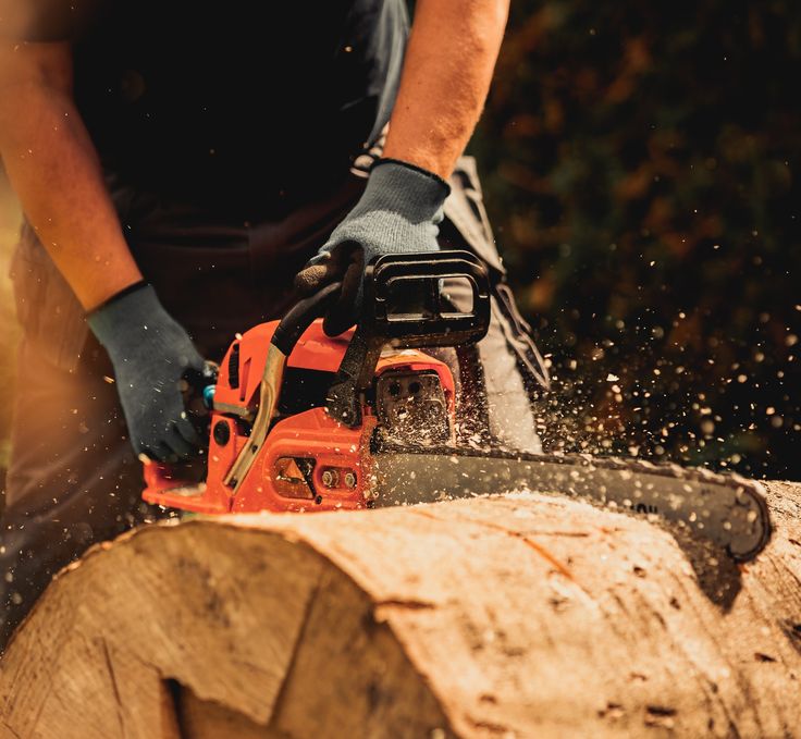 Техника безопасности при работе с бензопилой Техника безопасности при работе с бензопилой